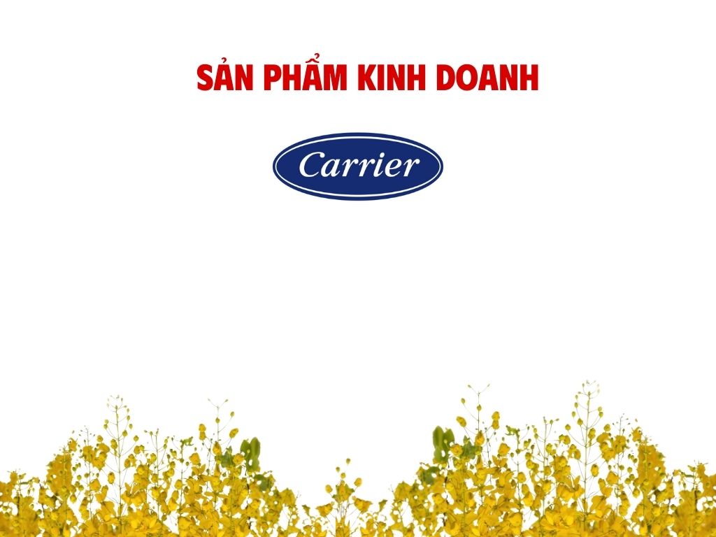 SẢN PHẨM KINH DOANH